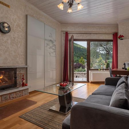 Vip Chalet 4 Seasons Arachova Dış mekan fotoğraf
