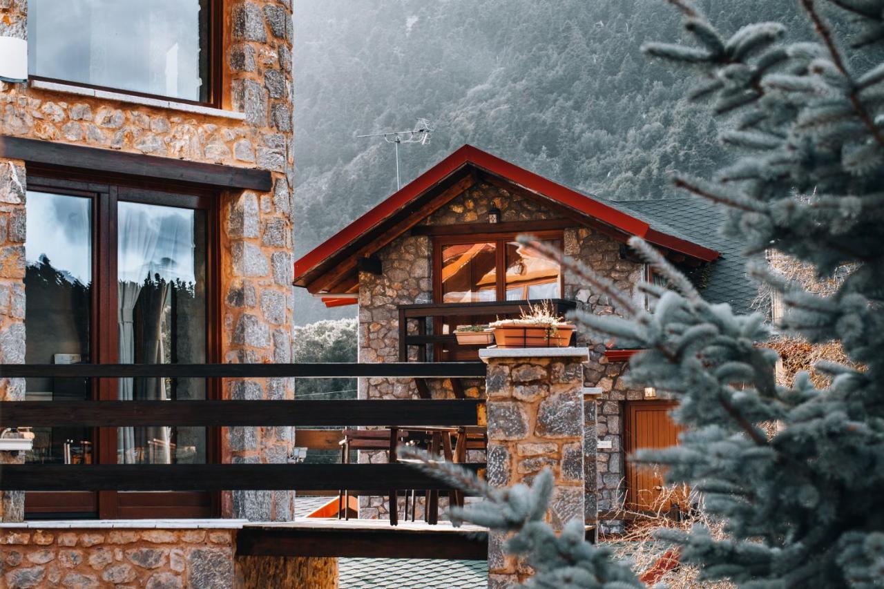 Vip Chalet 4 Seasons Arachova Dış mekan fotoğraf