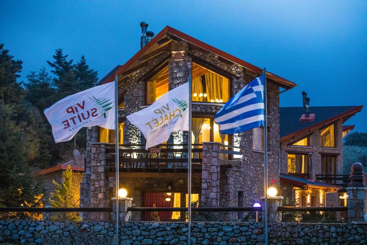 Vip Chalet 4 Seasons Arachova Dış mekan fotoğraf