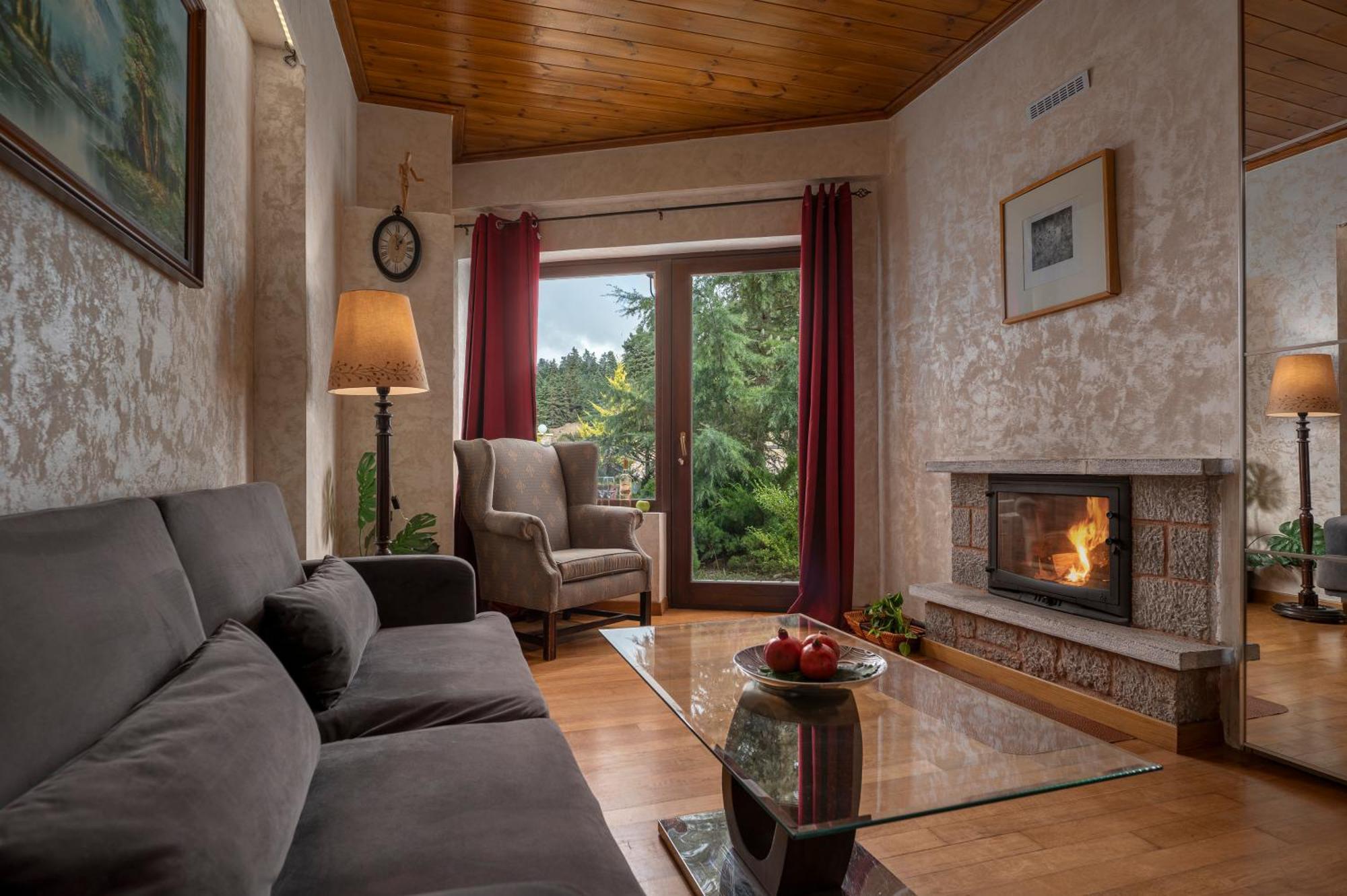 Vip Chalet 4 Seasons Arachova Dış mekan fotoğraf