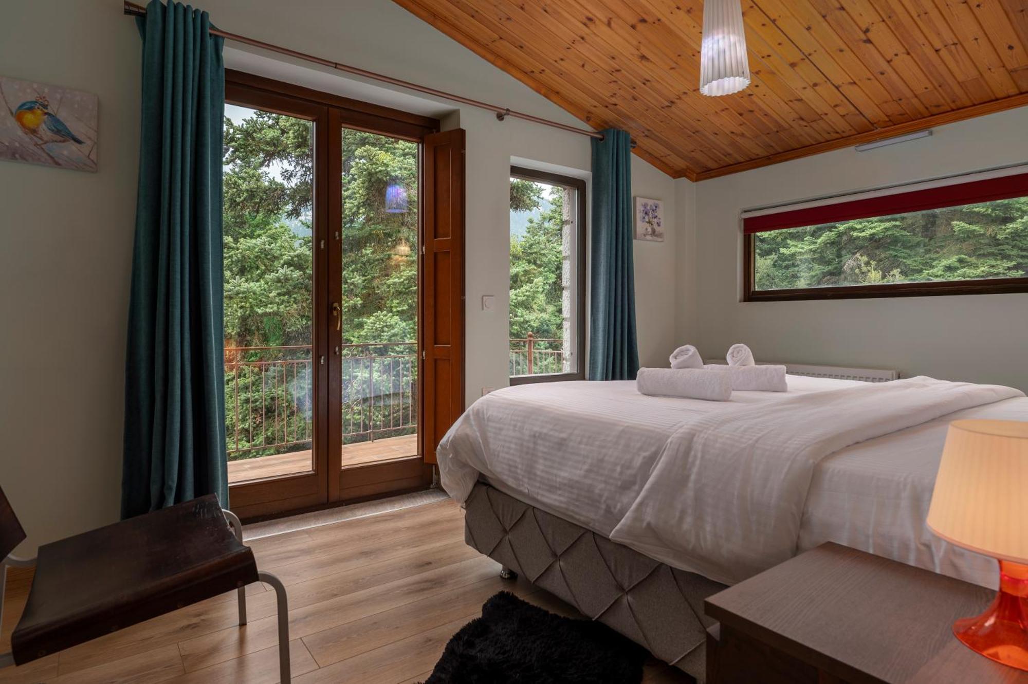 Vip Chalet 4 Seasons Arachova Dış mekan fotoğraf