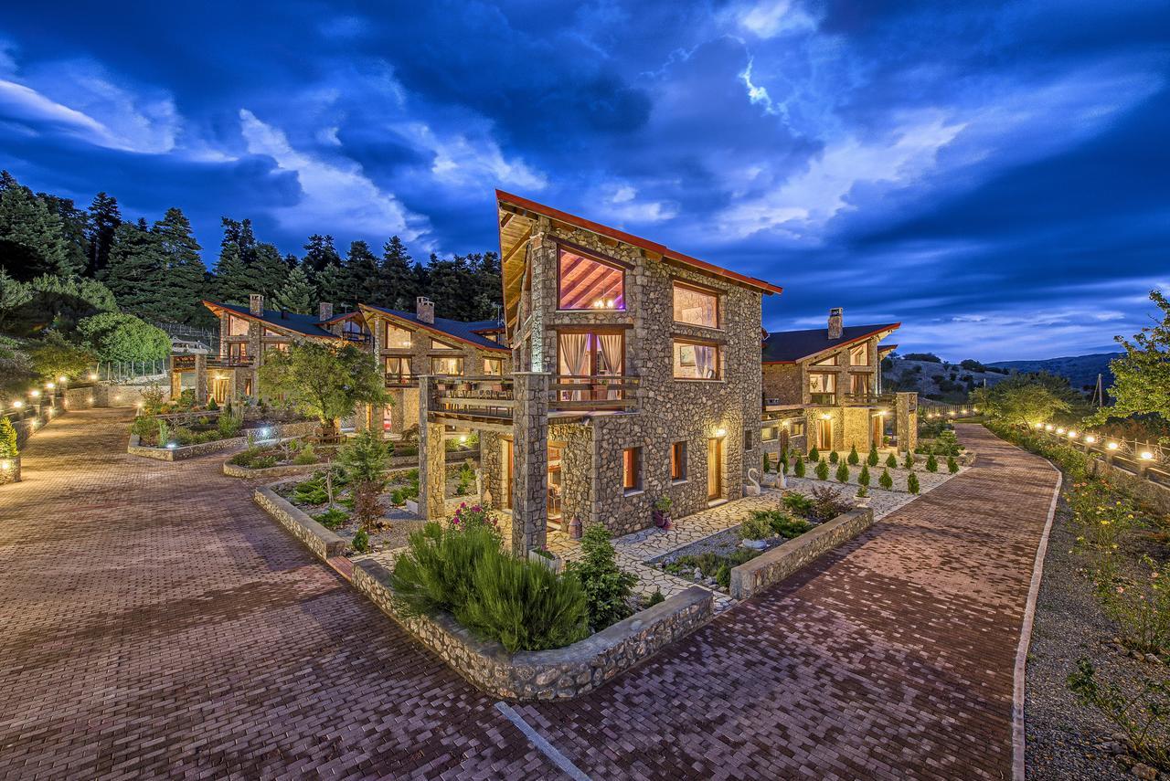 Vip Chalet 4 Seasons Arachova Dış mekan fotoğraf